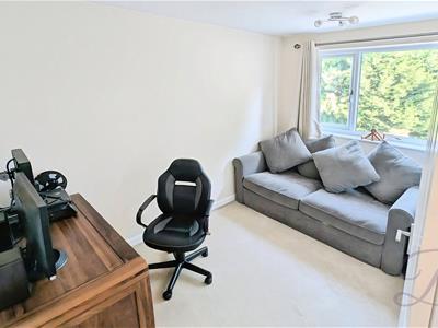 Picture 20